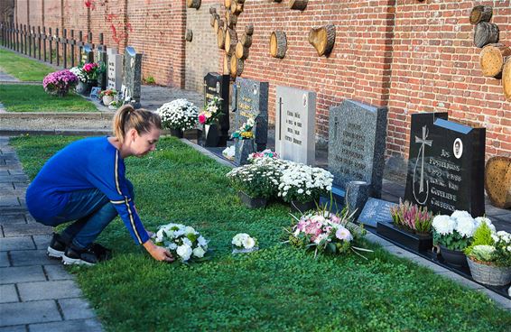 Bloemen voor Allerheiligen - Beringen