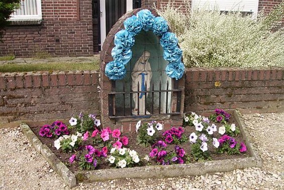 Bloemen voor André - Hamont-Achel