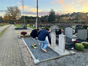 Bloemen voor 'vergeten' graven - Beringen