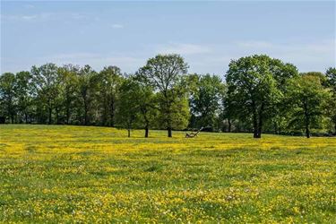 Bloemenzee - Beringen