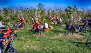 Met de groeten uit... de fruitstreek - Lommel