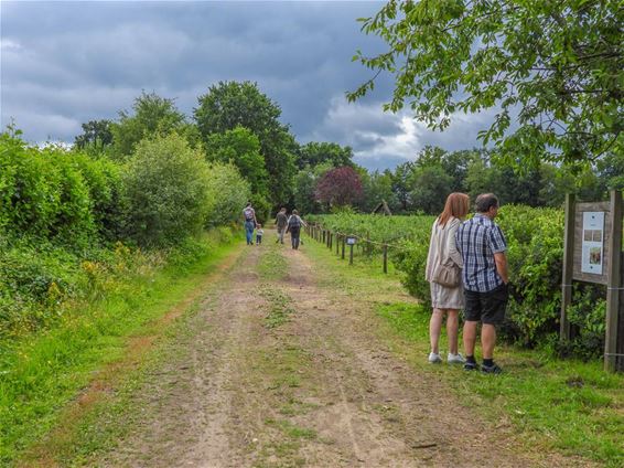 Blueberry Fields krijgt label 'Straffe Kost' - Beringen