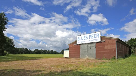 Blues Peer: nog 13 dagen! - Peer