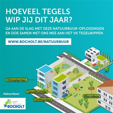 Bocholt roept op: wip die tegels! - Bocholt