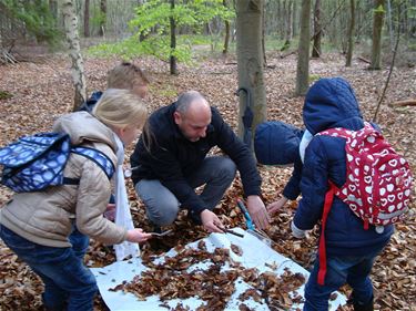 Bodemonderzoek bij De Linde - Overpelt