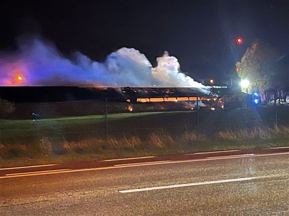 Boerderijbrand op Kiezel Kleine-Brogel - Peer