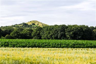 Boerenwijsheid (10) - Beringen