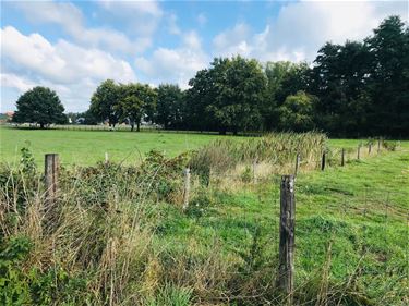 Boerenwijsheid (22) - Beringen