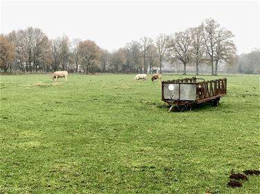 Boerenwijsheid (30) - Beringen