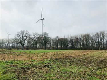 Boerenwijsheid (32) - Beringen