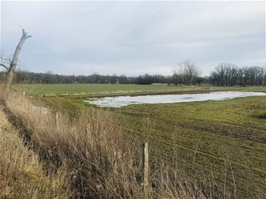 Boerenwijsheid (38) - Beringen