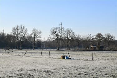 Boerenwijsheid (41) - Beringen