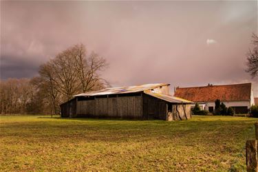 Boerenwijsheid (42) - Beringen