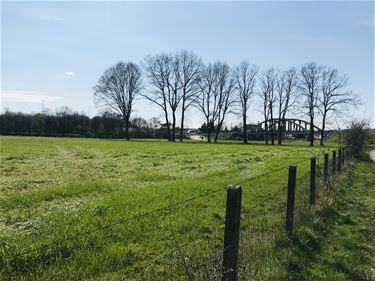 Boerenwijsheid (47) - Beringen