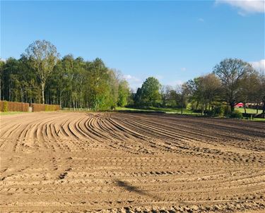 Boerenwijsheid (50) - Beringen