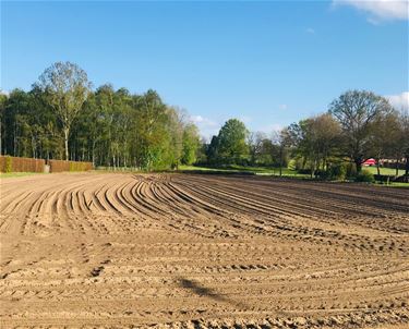 Boerenwijsheid (50) - Beringen