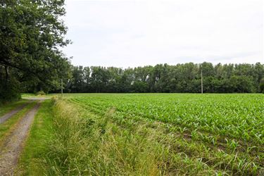 Boerenwijsheid (7) - Beringen