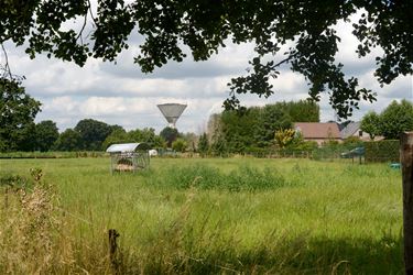 Boerenwijsheid (9) - Beringen