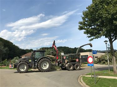 Bomen aan kinderdagverblijf gekapt - Beringen