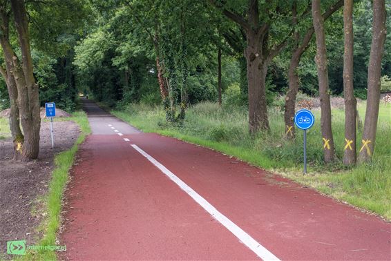 Bomen gerooid voor veiliger zicht op fietssnelweg - Pelt