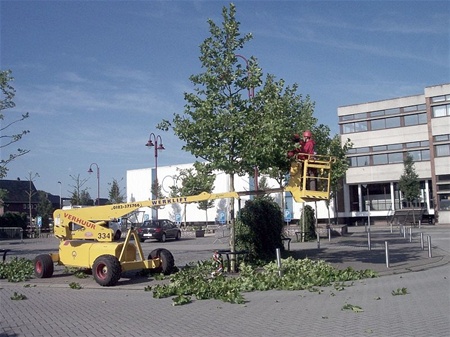 Bomen goed doordacht snoeien - Overpelt