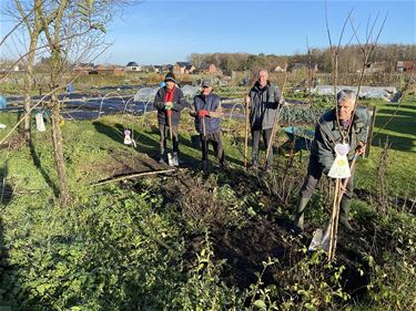 Bomen planten in “D’n Goeien Oard” - Pelt