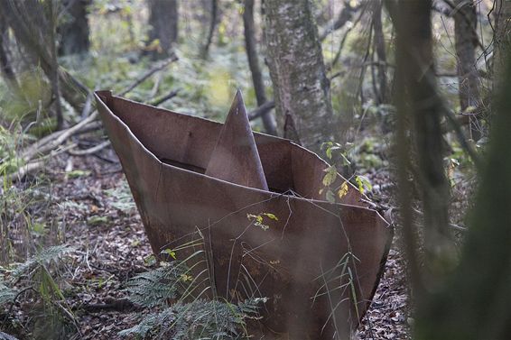 Bootje varen in het bos... - Overpelt