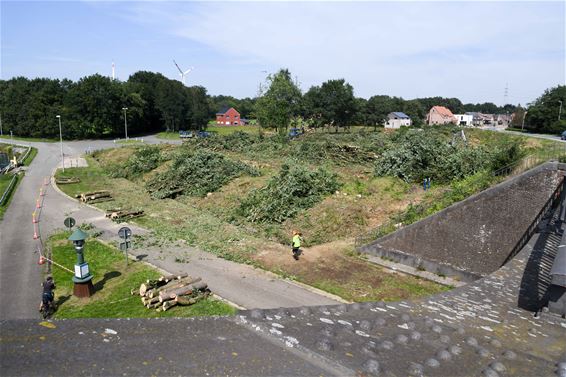 Bos gerooid voor werken brug van Tervant - Beringen