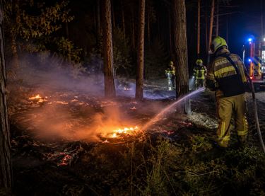 Bosbrand in Kaulille snel onder controle - Bocholt