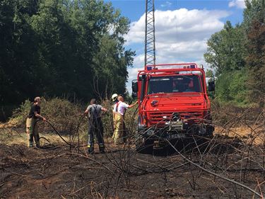 Bosbrand in vallei van de Zwarte Beek - Beringen