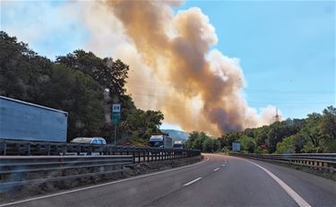 Bosbranden in Slovenië