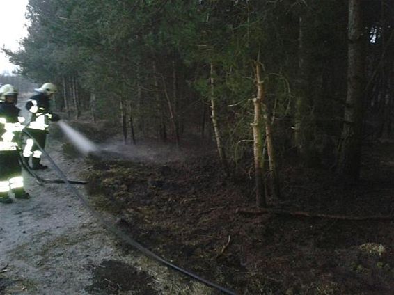 Bosbrandje bij Gelderhorsten - Lommel