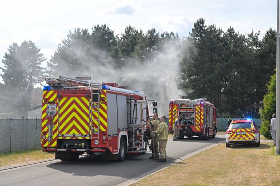 Bosbrandje in Paal - Beringen