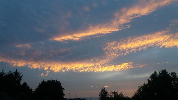 Boseind gisterenavond - Neerpelt