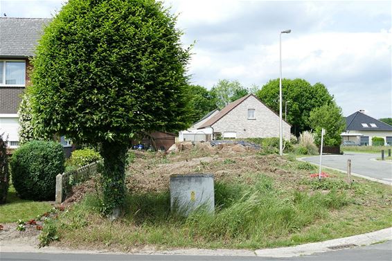 Bosje weg voor parkje - Neerpelt