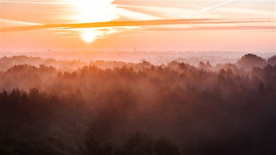 Bosland erkend als Nationaal Park