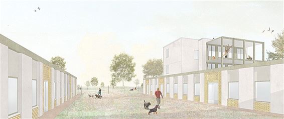 Bouw dierenasiel van start op Maatheide - Lommel