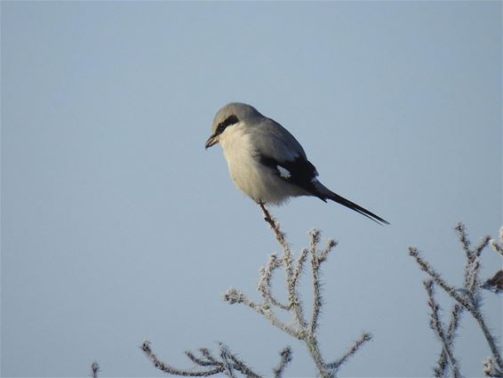 Boven alles uit - Neerpelt