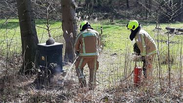 Brandje geblust, dank zij Bente - Hamont-Achel