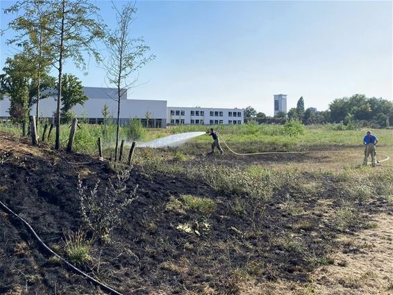 Brand grasveld Spectrumcollege - Beringen