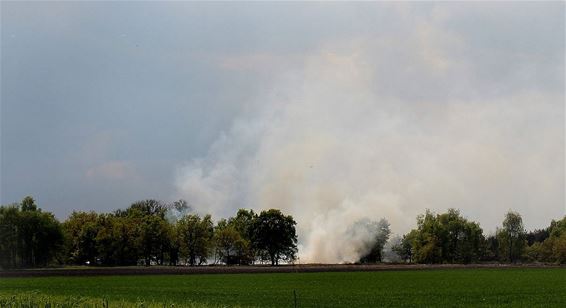 Brand in het Hageven - Neerpelt