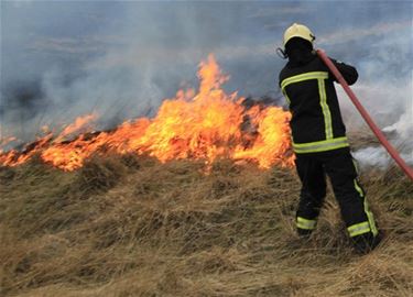 Brand in Kattenbosserheide - Lommel