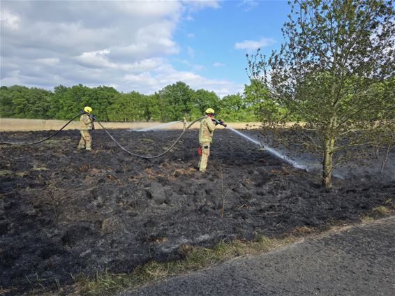 Brand(je) op het Hageven - Pelt