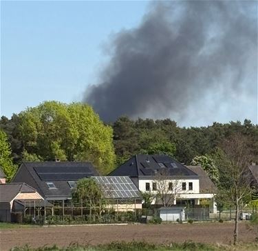 Brand verwoest houtopslagplaats - Pelt