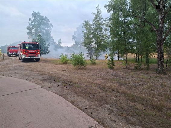 Brandgeur in Lommel kwam van grasbrand - Lommel