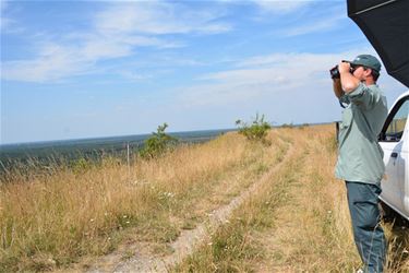 Brandwachter speurt natuur af vanop terril - Beringen