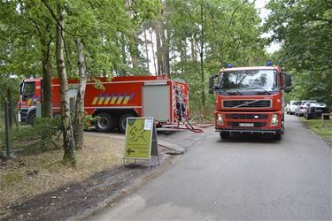 Brandweer al hele dag in de weer voor bosbrand - Beringen