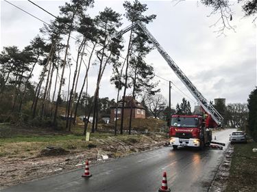 Brandweer blijft in actie - Beringen