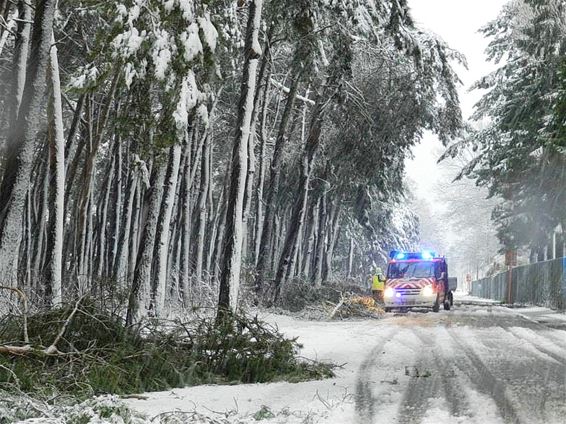 Brandweer moet uitrukken voor sneeuwval - Lommel