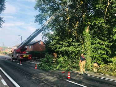 Brandweer nog altijd in actie na storm - Beringen